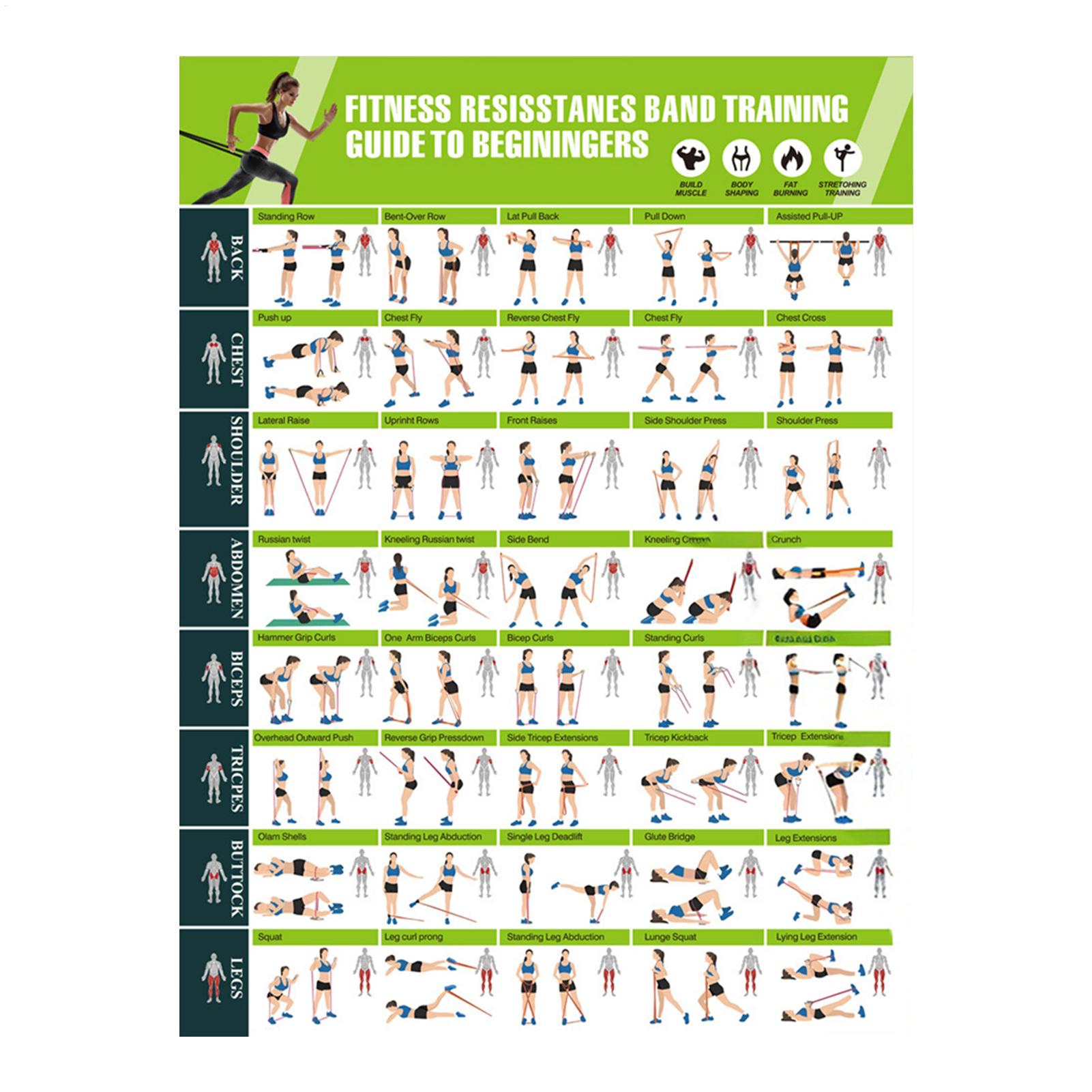 แผนภูมิการออกกำลังกาย แผนภูมิท - Yoga Fitness Health บทวิจารณ์และราคา