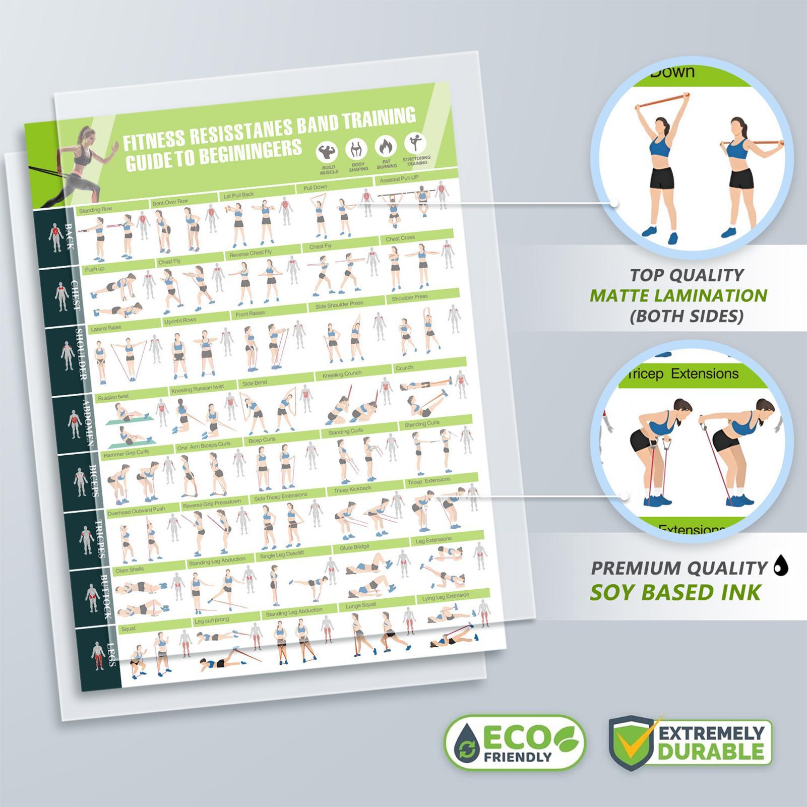 แผนภูมิการออกกำลังกาย แผนภูมิท - Yoga Fitness Health บทวิจารณ์และราคา